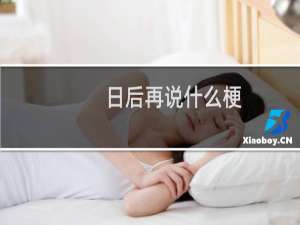 日后再说什么梗