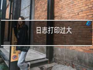 日志打印过大，每天生成500M