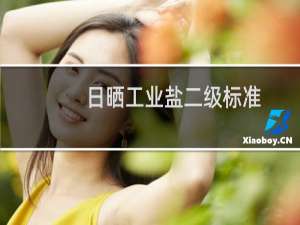 日晒工业盐二级标准
