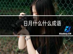 日月什么什么成语