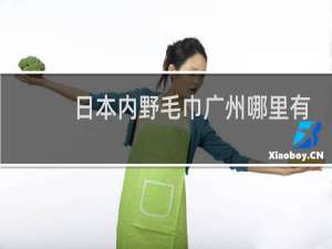 日本内野毛巾广州哪里有卖