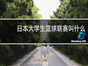 日本大学生篮球联赛叫什么