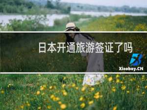 日本开通旅游签证了吗