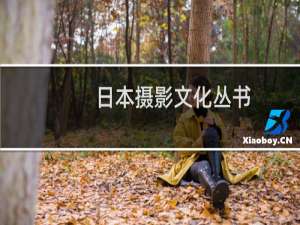 日本摄影文化丛书：犬的记忆(关于日本摄影文化丛书：犬的记忆的简介)