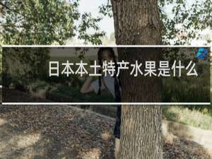 日本本土特产水果是什么