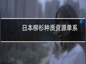 日本柳杉种质资源单系优株025(关于日本柳杉种质资源单系优株025的简介)