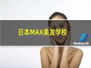 日本MAX美发学校(关于日本MAX美发学校的简介)