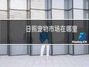 日照宠物市场在哪里