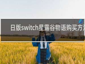 日版switch星露谷物语购买方法