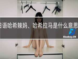 日语哈希辣妈、哈希拉马是什么意思什么梗