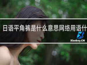 日语平角裤是什么意思网络用语什么梗