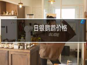 日银鹦鹉价格