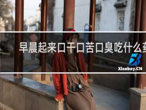 早晨起来口干口苦口臭吃什么药
