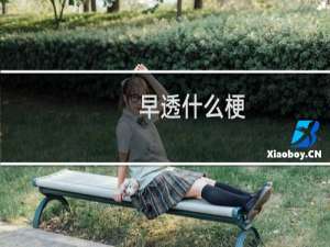 早透什么梗
