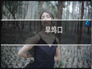 旱坞口(关于旱坞口的简介)