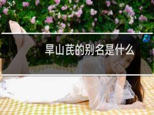 旱山芪的别名是什么