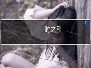 时之引(关于时之引的简介)