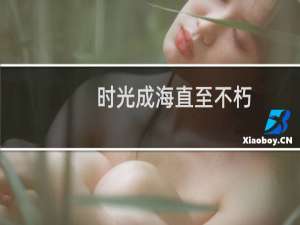 时光成海直至不朽(关于时光成海直至不朽的简介)