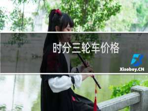 时分三轮车价格