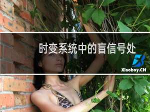 时变系统中的盲信号处理问题研究(关于时变系统中的盲信号处理问题研究的简介)