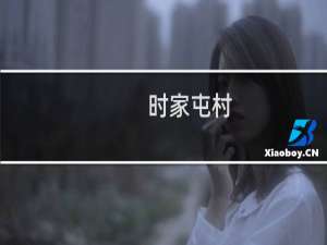时家屯村(关于时家屯村的简介)