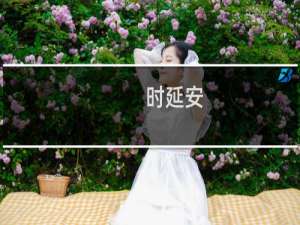 时延安(关于时延安的简介)