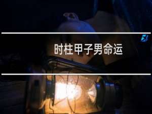 时柱甲子男命运