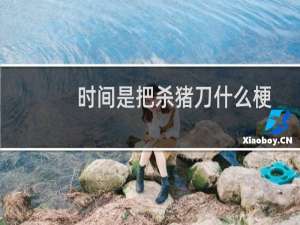 时间是把杀猪刀什么梗？时间是把杀猪刀是什么意思什么梗