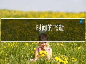 时间的飞逝(关于时间的飞逝的简介)