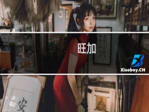 旺加(关于旺加的简介)