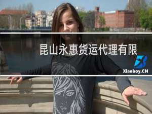 昆山永惠货运代理有限公司(关于昆山永惠货运代理有限公司的简介)