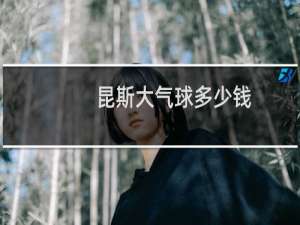 昆斯大气球多少钱