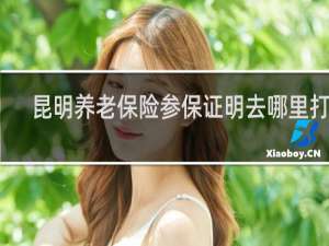 昆明养老保险参保证明去哪里打印