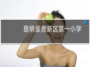 昆明呈贡新区第一小学(关于昆明呈贡新区第一小学的简介)