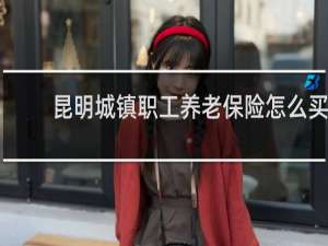 昆明城镇职工养老保险怎么买