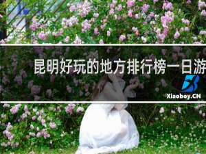 昆明好玩的地方排行榜一日游
