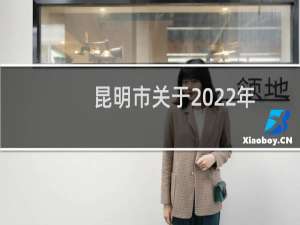 昆明市关于2022年稳增长的若干政策措施(关于昆明市关于2022年稳增长的若干政策措施的简介)
