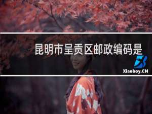 昆明市呈贡区邮政编码是多少