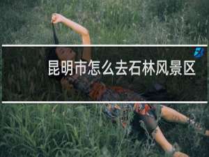昆明市怎么去石林风景区