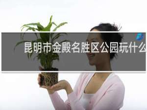 昆明市金殿名胜区公园玩什么