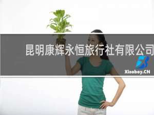 昆明康辉永恒旅行社有限公司