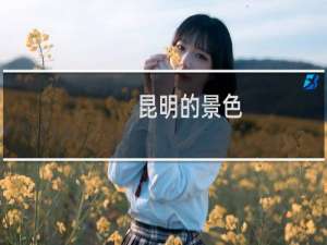 昆明的景色