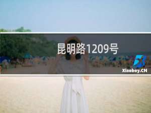 昆明路1209号(关于昆明路1209号的简介)