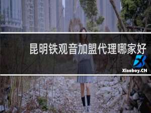 昆明铁观音加盟代理哪家好