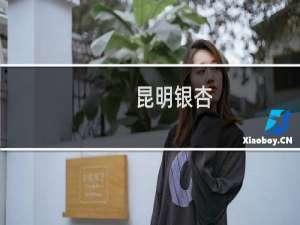 昆明银杏
