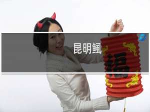 昆明鲺(关于昆明鲺的简介)