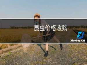 昆虫价格收购