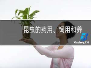 昆虫的药用、饲用和养殖(关于昆虫的药用、饲用和养殖的简介)