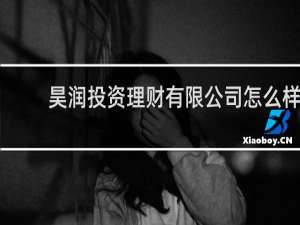 昊润投资理财有限公司怎么样