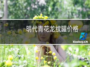 明代青花龙纹罐价格